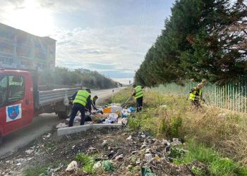Alarmante në Fier, kanali përmbytet me shpendë të ngordhur, institucionet bëjnë “ping-pong”