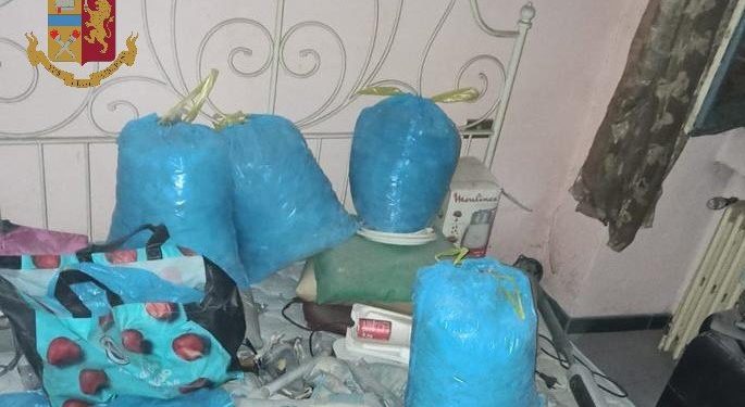 Shqiptarët ndërtojnë laborator droge në mes të Milanos, sekuestrohen 16 mijë euro