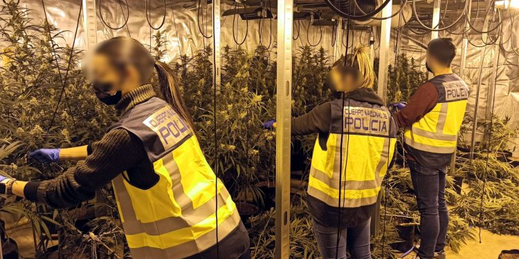 Vihen në pranga 10 shqiptarë/ Ja sistemi i sofistikuar me të cilin kishin ngritur “shtëpitë” e barit në Spanjë