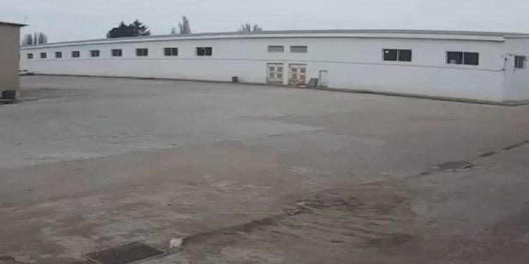 Momentet e tmerrshme të sulmit, pamjet në Odessa