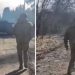VIDEO/ Ushtari ukrainas “çan” breshërinë e plumbave, me raketë në krah gjurmon tanket rusë