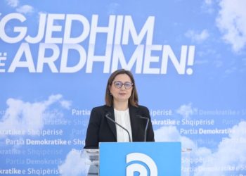 PD ngre grup pune për reformën territoriale