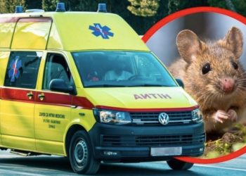 Regjistrohet vdekja e parë në botë nga virusi i miut