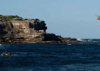 VIDEO/ “O Zot, një peshkaqen po ha një njeri, është çmenduri!”, momenti horror kur notari sulmohet për vdekje