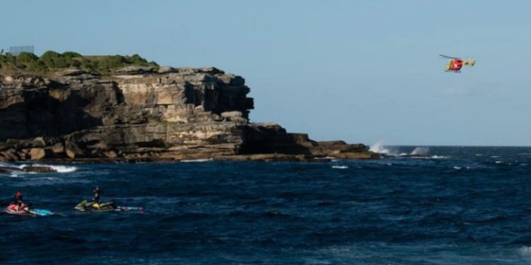 VIDEO/ “O Zot, një peshkaqen po ha një njeri, është çmenduri!”, momenti horror kur notari sulmohet për vdekje