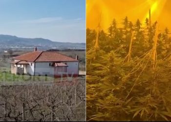 U kap brenda “shtëpisë së barit” në Ndroq, burg për të riun, shpëton elektricisti, pronarja në arrati