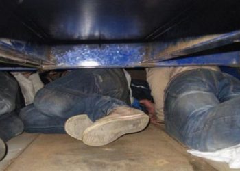 “25,000 £ dhe në kokën e kamionit”, dy vajza dhe dy djem arrestohen për trafikim shqiptarësh në Angli