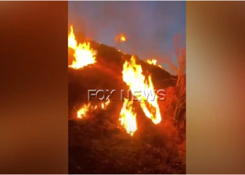 Vatër zjarri në Patos, era favorizon përhapjen e flakëve drejt tokave bujqësore