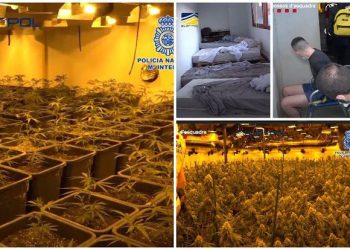 VIDEO/ ‘shtëpi bari’ në Malaga, shkatërrohet organizata kriminale shqiptare në Spanjë! Arrestohen 15 persona