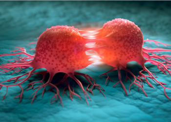 Zbulimi i shkencëtarëve francezë: Ky insekt i zakonshëm mund të nuhasë kancerin