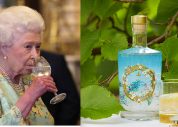 A e dini sesa pije pi çdo ditë Mbretëresha Elizabeth?