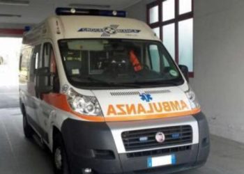 Zbulim shokues brenda banesës, gjendet e mumifikuar gruaja dhe macja e saj, ushqimet kishin skaduar që prej…