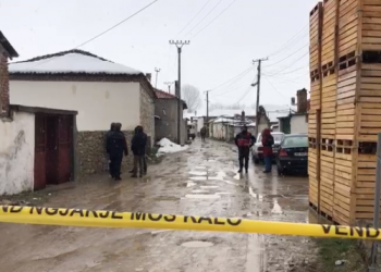 Autor i vrasjes së dyfishtë në Devoll/ Gjykata lë në burg 36-vjeçarin Ali Zili