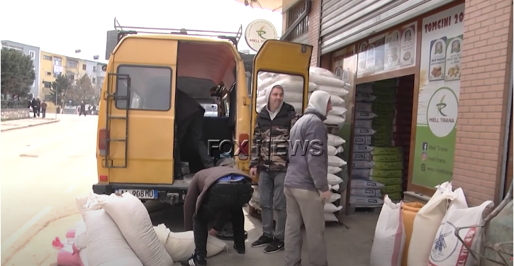 Radhë e madhe për miell në Dibër, tregtari: Deri tani nuk e kemi rritur çmimin