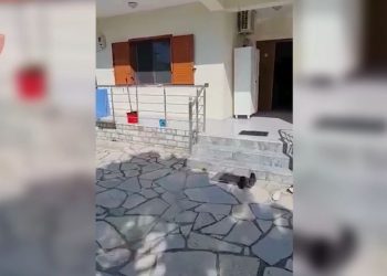 Po kthente banesën në “shtëpi bari”, arrestohet pronari në Durrës