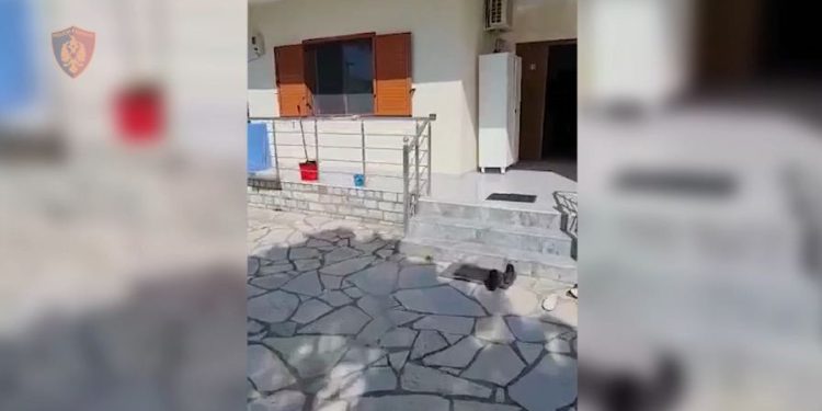 Po kthente banesën në “shtëpi bari”, arrestohet pronari në Durrës