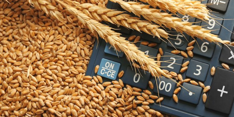 Maqedonia e Veriut ndalon shitjen e drithërave drejtë Shqipërinë