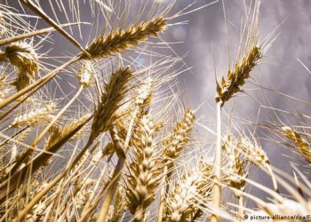 “Këtej lufta, andej uria”/ Analiza e DW: Problemet më të mëdha i kemi përpara