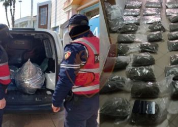 Kapet sasi e madhe hashashi në Tiranë, 3 persona të arrestuar, dy të tjerë në kërkim