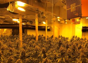 LAJM I FUNDIT/ Zbulohet një shtëpi bari në Vlorë