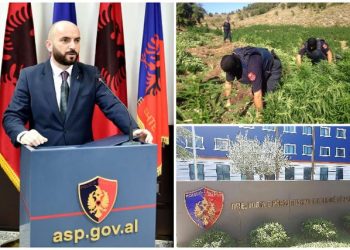 Policia aksion në të gjithë vendin kundër kultivimit të kanabisit, zbulohen porositë e Gledis Nanos për efektivët