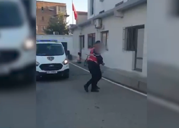 Arrestohet kultivuesi i drogës në Elbasan, çfarë iu gjet në shtëpi