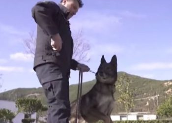 Qeni “hero” i policisë shqiptare del në pension/ Polici nuk ndahet dot prej tij dhe e adopton
