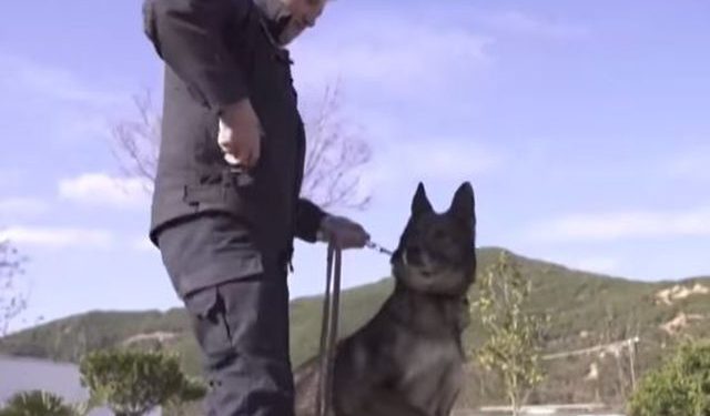 Qeni “hero” i policisë shqiptare del në pension/ Polici nuk ndahet dot prej tij dhe e adopton