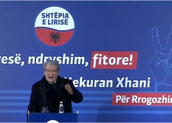 “Data 6 mars çel mundësinë për zgjedhje të parakohshme”, Berisha në Rrogozhinë: Ta lëmë Ferdinandin në fatin e tij dhe të Lul Bravës