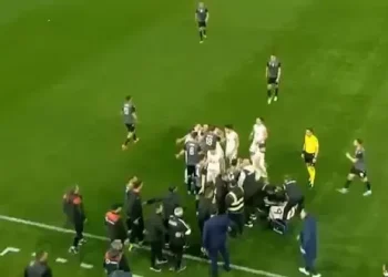 VIDEO/ Shqipëri-Gjeorgji/ Momenti kur trajneri Edy Reja fut në sherr skuadrat