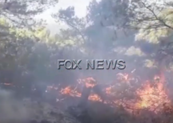 VIDEO/ Zjarr i fuqishëm në kodrat e Krujës, e pamundur ndërhyrja e zjarrfikëses