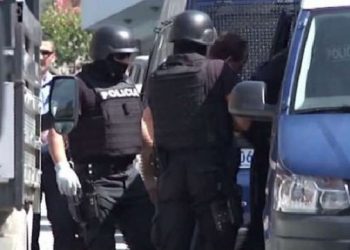 FNSH “blindon” Fushë Krujën, gjenden 900 fidanë kanabis, 2 të shoqëruar