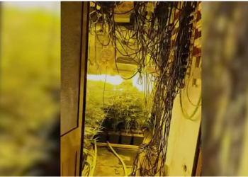 Pamje brenda shtëpisë së barit në Krujë, kush janë pronarët dhe të arrestuarit