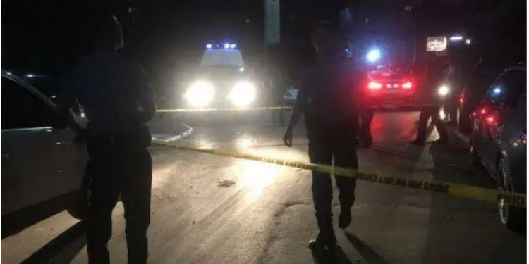 Aksident me pasojë vdekjen në aksin rrugor Levan-Tepelenë