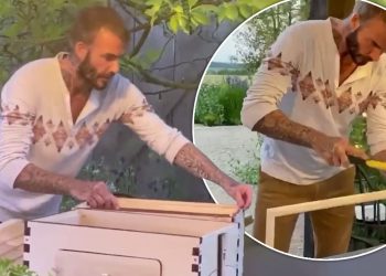 David Beckham i rikthehet pasionit të tij të “vjetër”