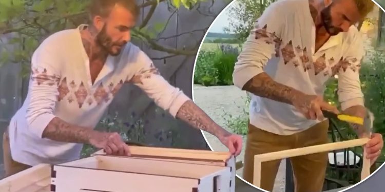 David Beckham i rikthehet pasionit të tij të “vjetër”