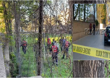 U larguan me një “golf 5” ngjyrë blu, “shqiponjat” në kërkim të dy autorëve të plagosjes në Pogradec