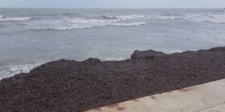 Probleme në portin e Durrësit si pasojë e motit të keq, 5 anije mallrash presin në radë