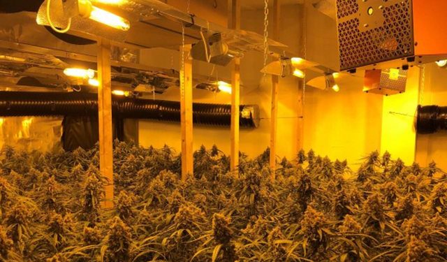 EMRI/ Ndodh në Kukës/ Ktheu banesën në “shtëpi bari” dhe shkon vetë në polici: Laboratori është i imi