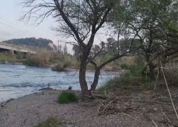 FOTO/ Tragjedi në familjen shqiptare në Greqi/ Vetëvritet 21-vjeçari, çfarë i dërgoi në telefon motrës para aktit