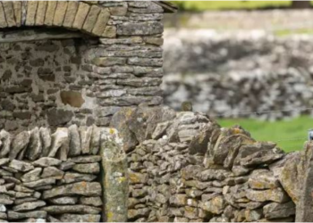 FOTO/ A mund ta dalloni bufin në këtë foto?