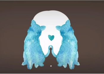 Test/ Ajo që shihni së pari në foto zbulon anën tuaj të brendshme