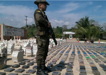Arrestohet shqiptari në Kolumbi, kishte detyrë të siguronte dhe niste “të bardhë” drejt BE