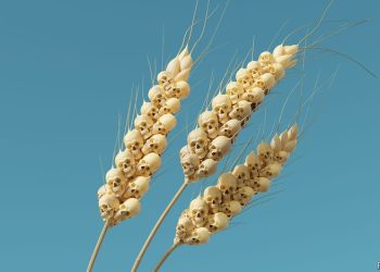 Si po e çon lufta në Ukrainë botën drejt një katastrofe ushqimore