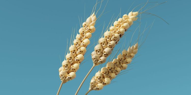 Si po e çon lufta në Ukrainë botën drejt një katastrofe ushqimore