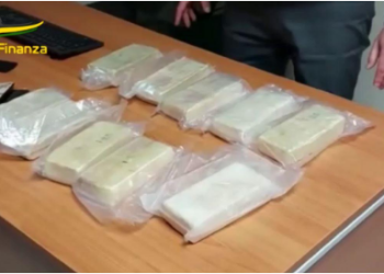 Kokainë e ndarë në 100 mijë doza, arrestohet 31 vjeçari shqiptar në Itali