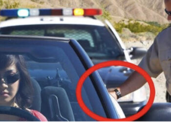 Pse polici prek gjithmonë makinën kur ju ndalon?