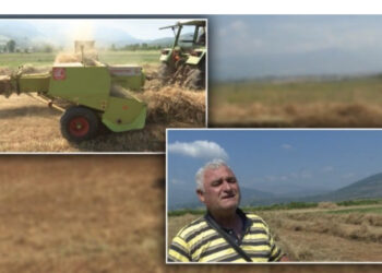 VIDEO/ Përfitoi 79 litra naftë nga subvencioni për gjithë vitin, fermeri në Kukës: S’kaloj dot as 1 ditë pune