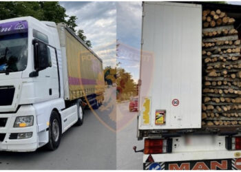 U kap me 60 m³ dru zjarri të prera në mënyrë të paligjshme, vihet nën hetim 41 vjeçari në Korçë