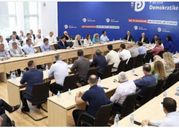 PD miraton udhëzimet për riorganizimin e degëve